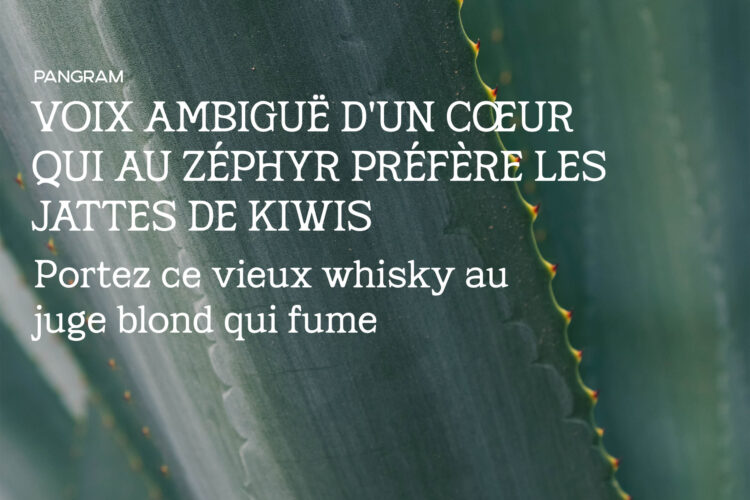 Marzena Display Font