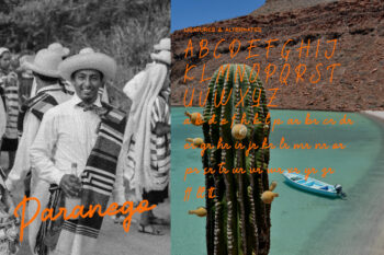 Reposida Brush Font