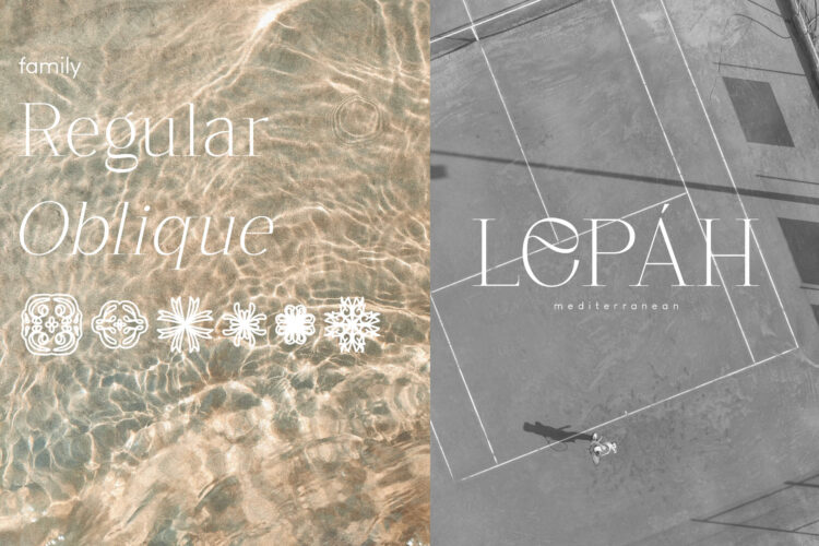 Anmer Elegant Font