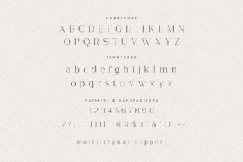 Anmer Elegant Font