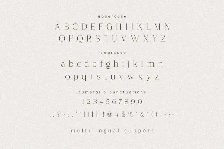 Anmer Elegant Font